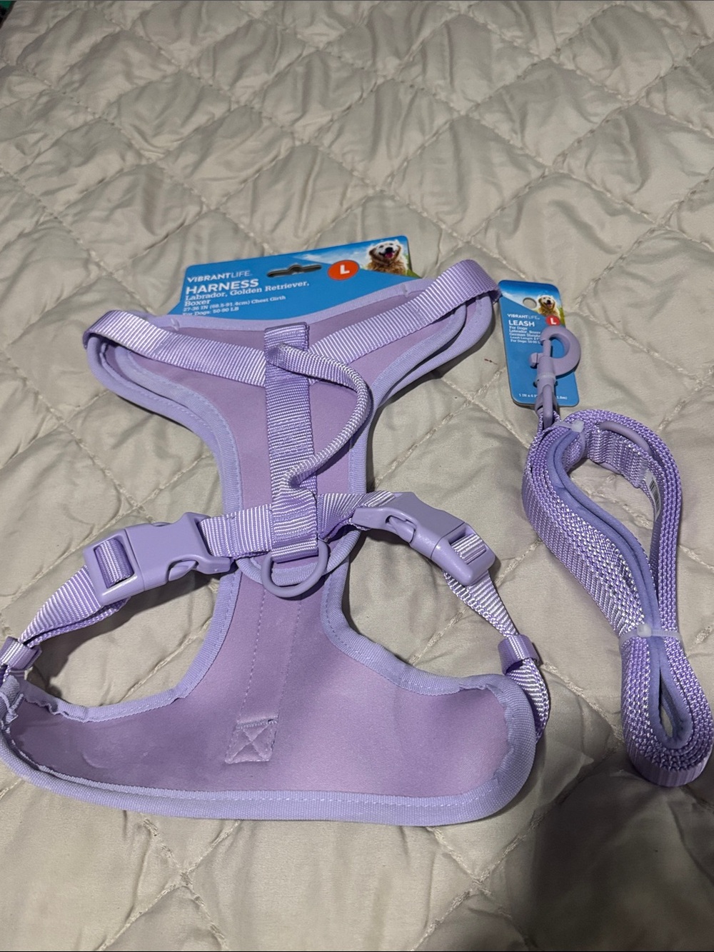 Lavender Padded Dog Harness and Leash Set